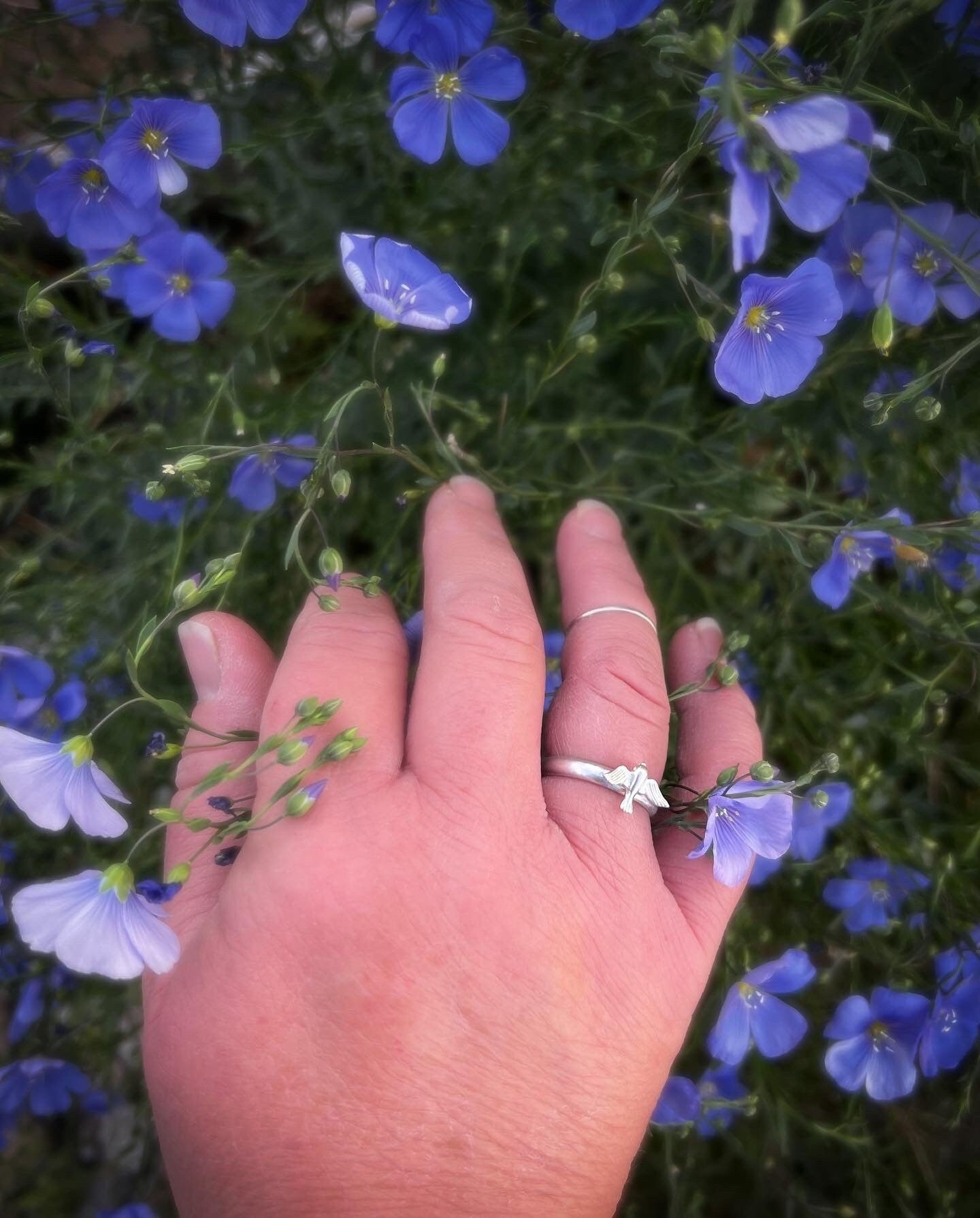 Silver Swallow Stacking Ring ~ size 9