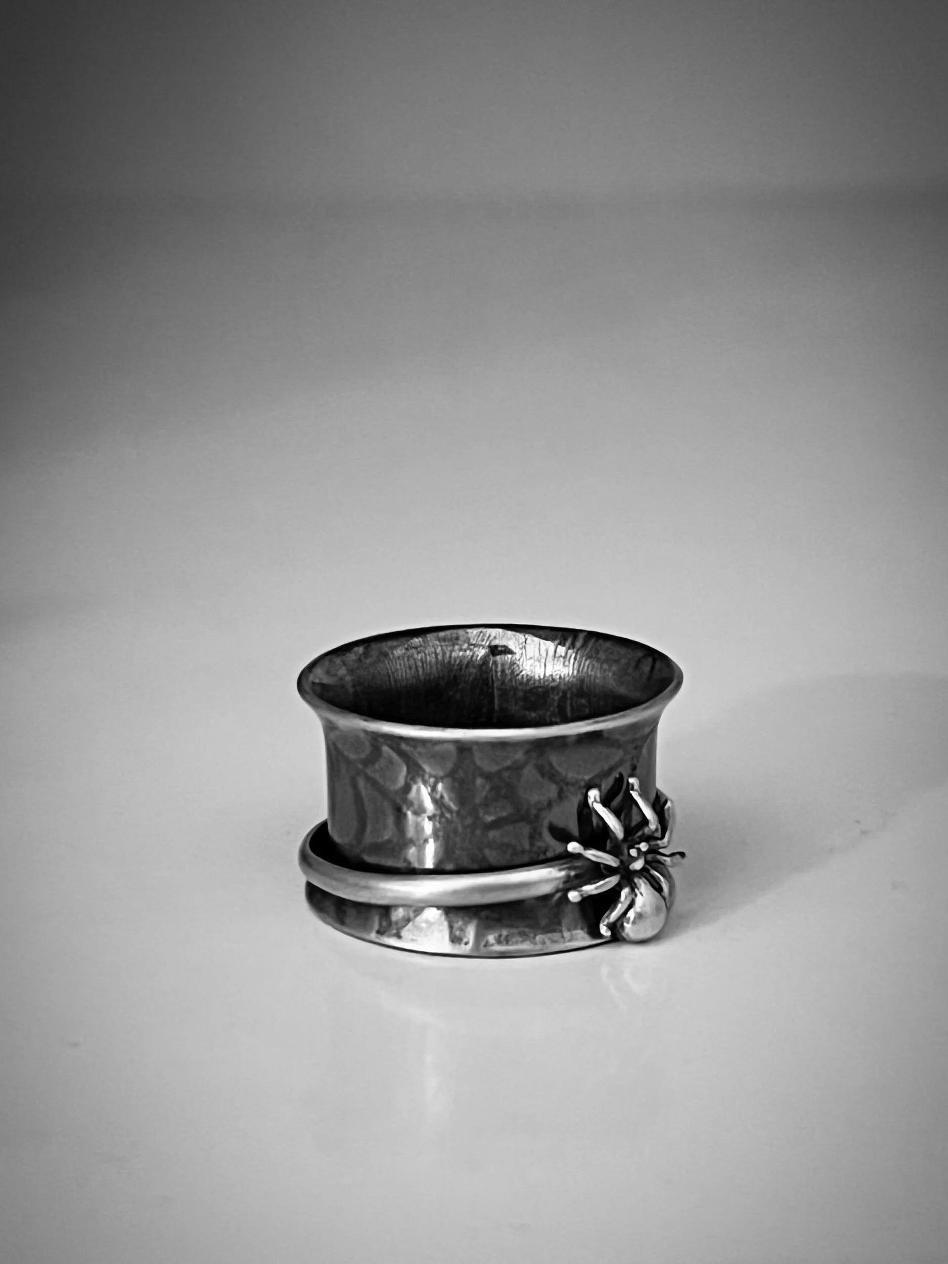 Silver Spider Web & Spider Spinner Ring